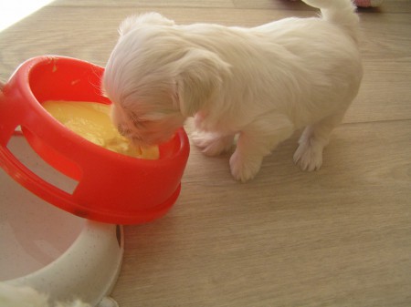 ...CRISTIAN také dostal chuť...